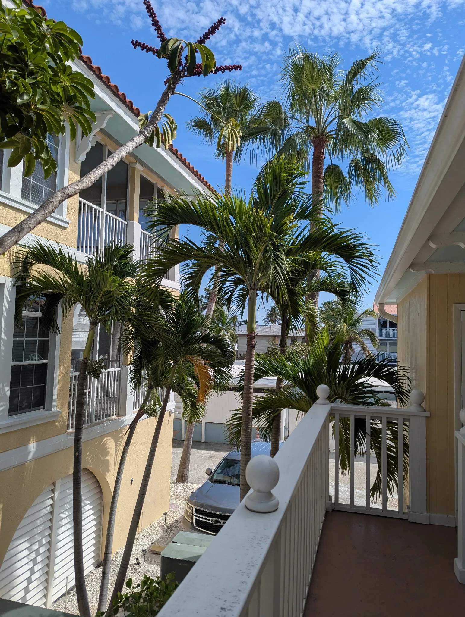 view from our room 248